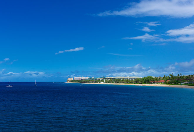 View of Maui #13