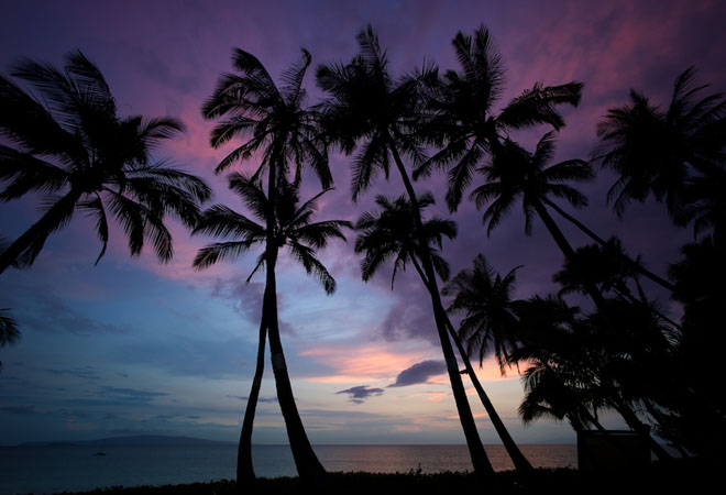 View of Maui #15
