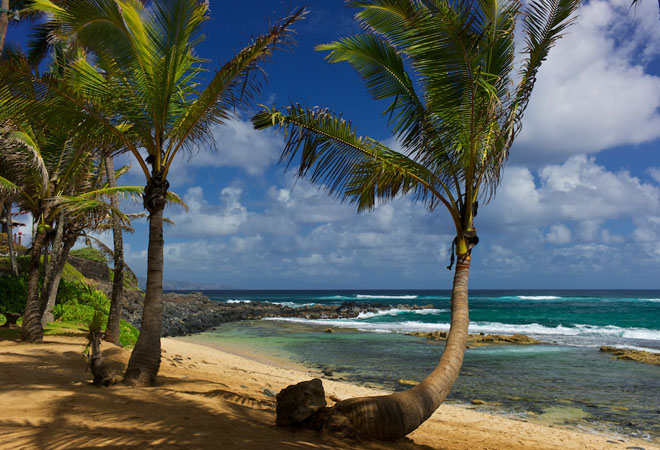View of Maui #26