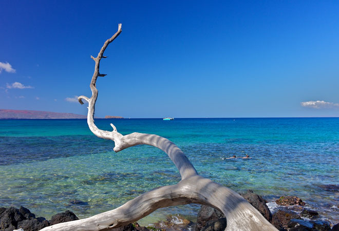 View of Maui #3