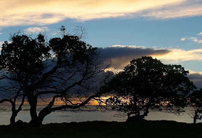 View of Maui #29