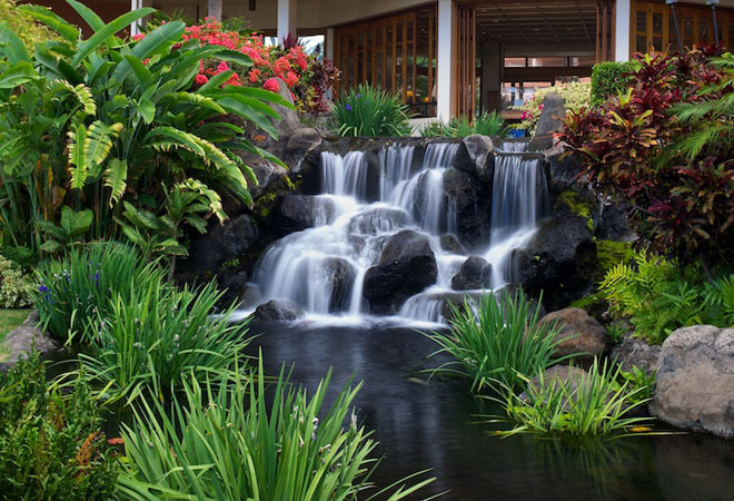 View of Maui #30