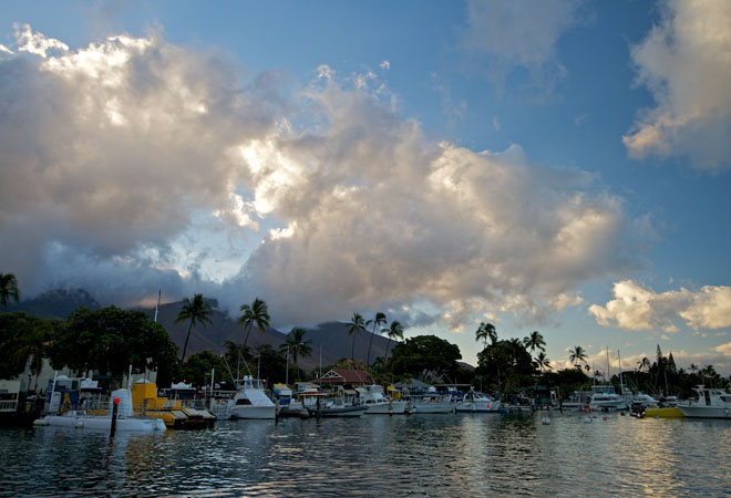 View of Maui #31