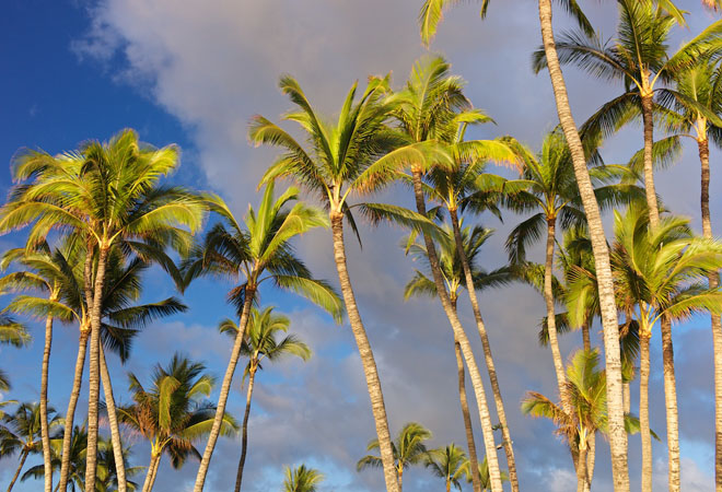 View of Maui #5