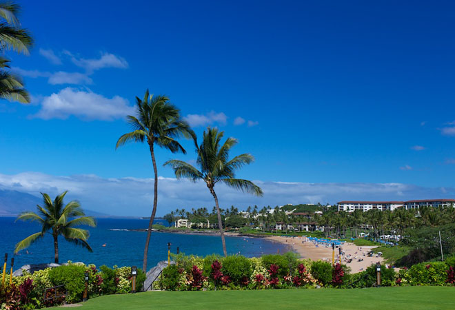 View of Maui #7