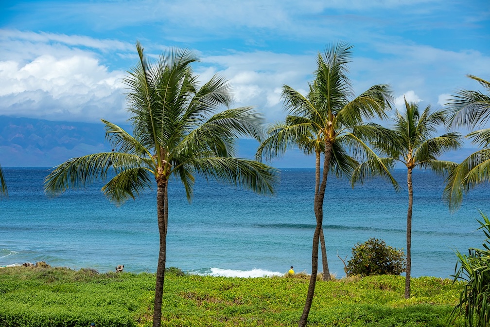 Resort photo #6