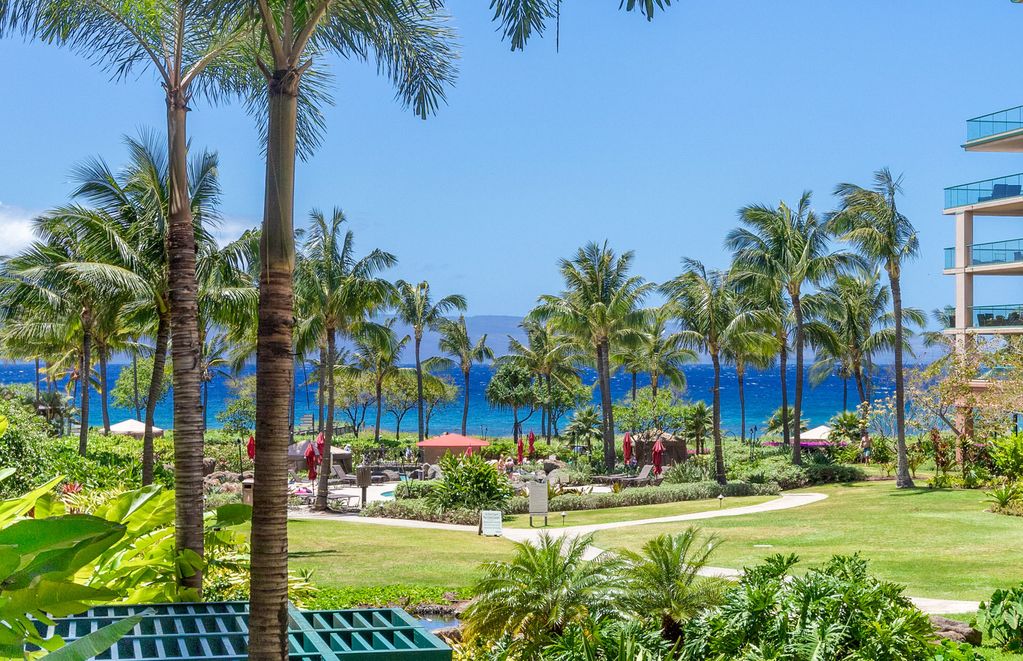 Resort photo #5