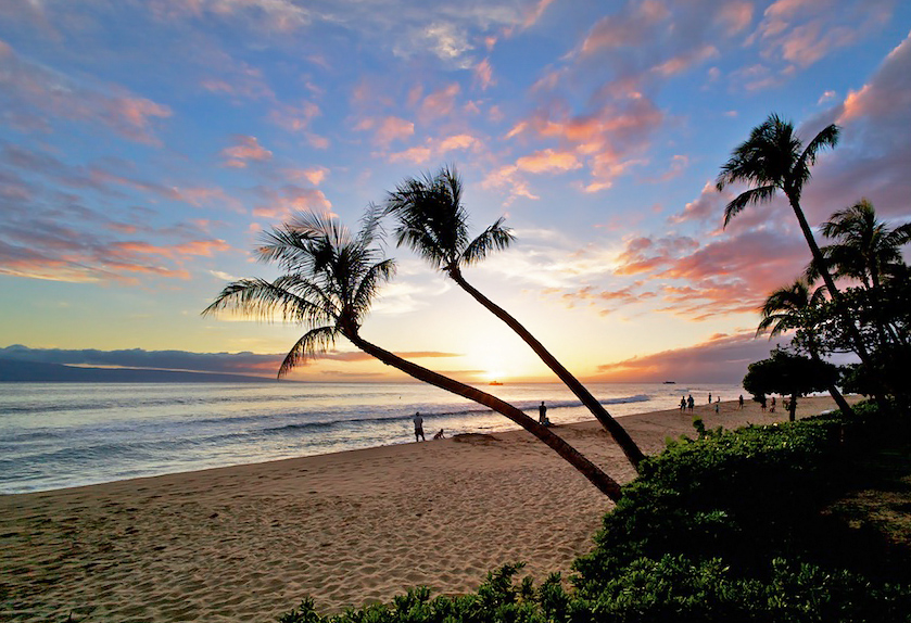 Resort photo #9