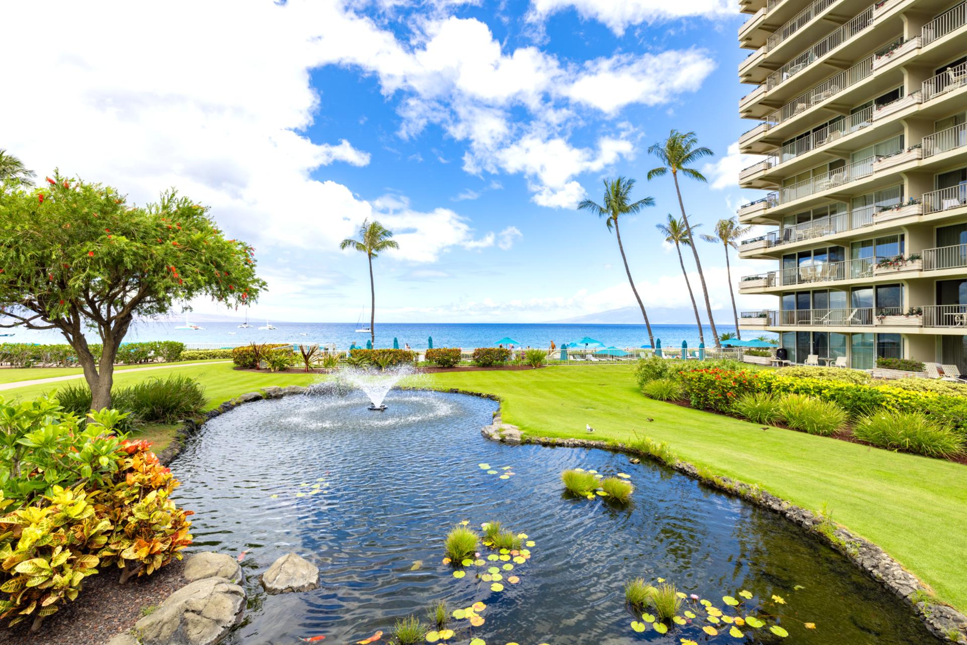 Resort photo #13