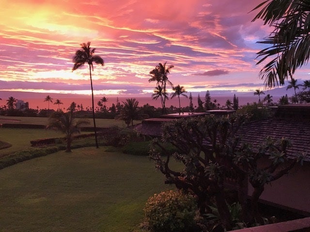 Resort photo #4