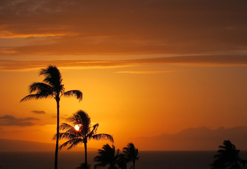 Resort photo #7