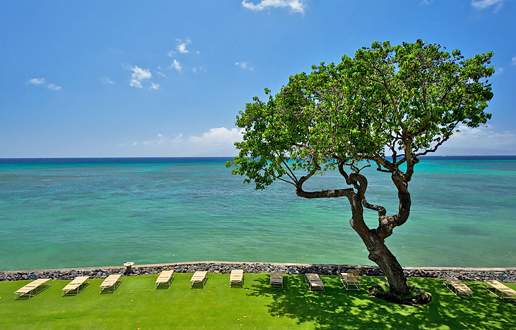 Resort photo #8