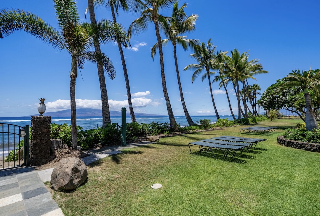Resort photo #16