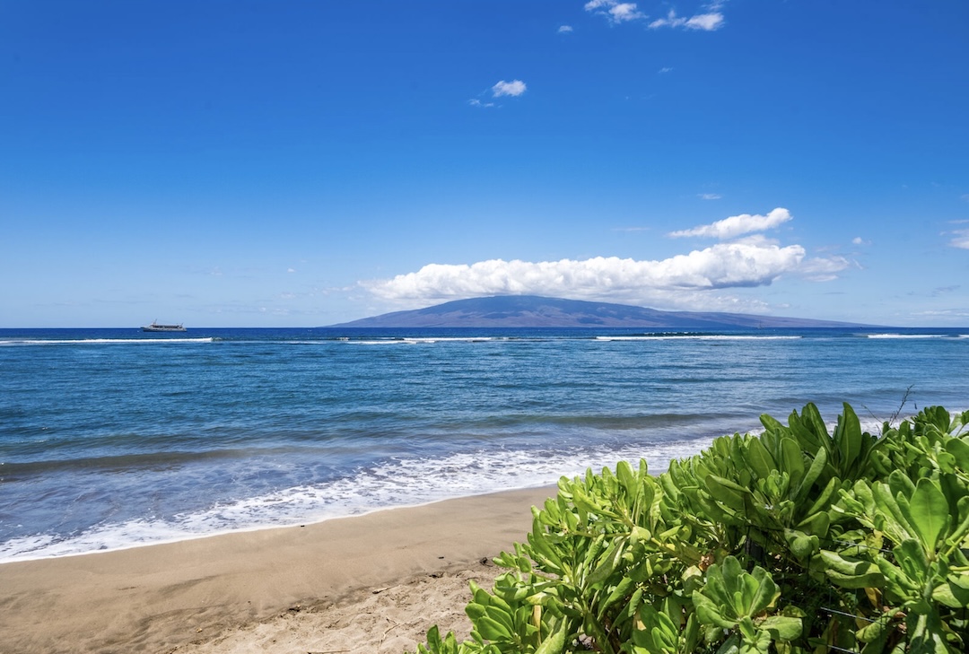 Resort photo #15