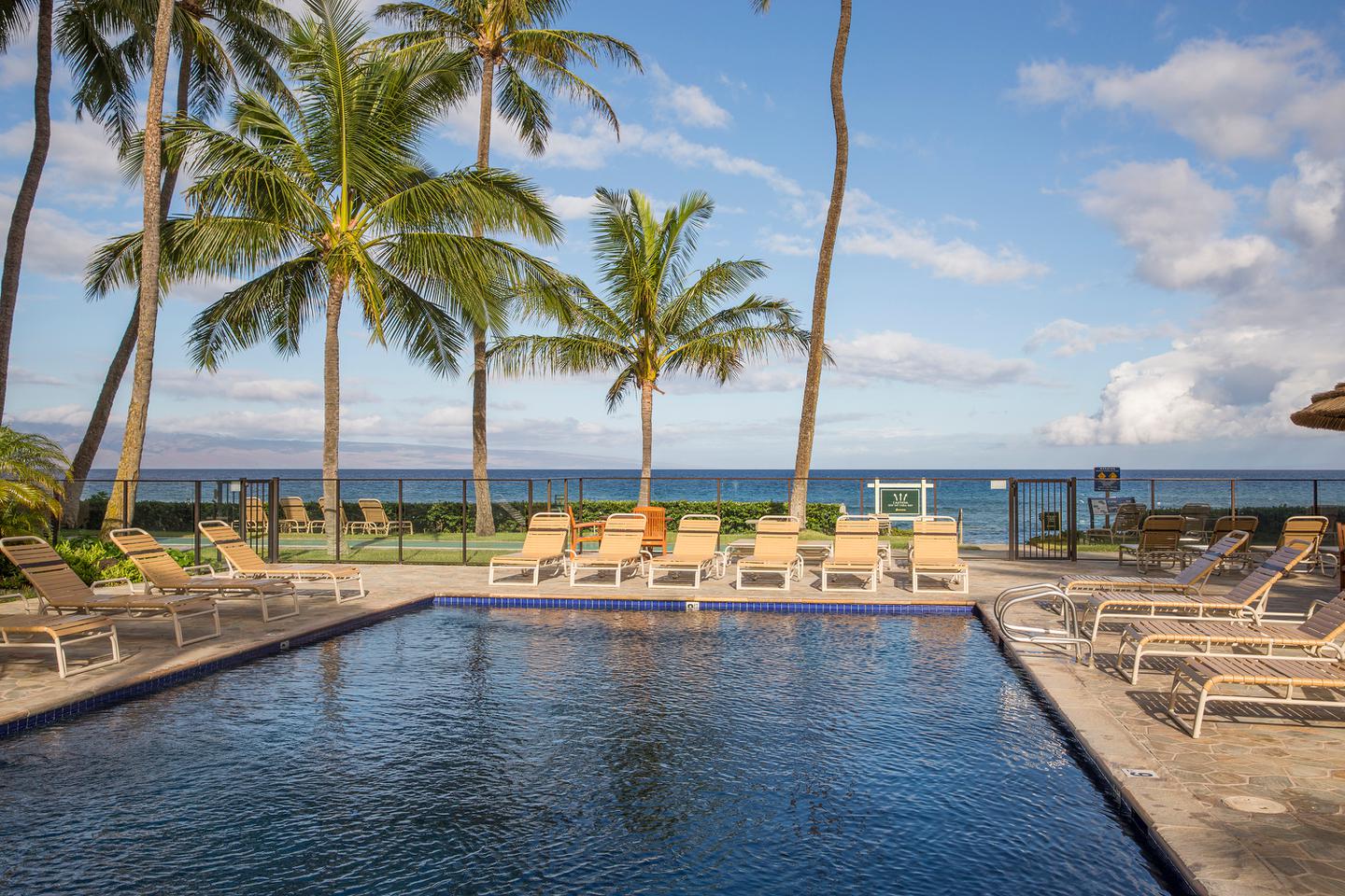 Resort photo #6
