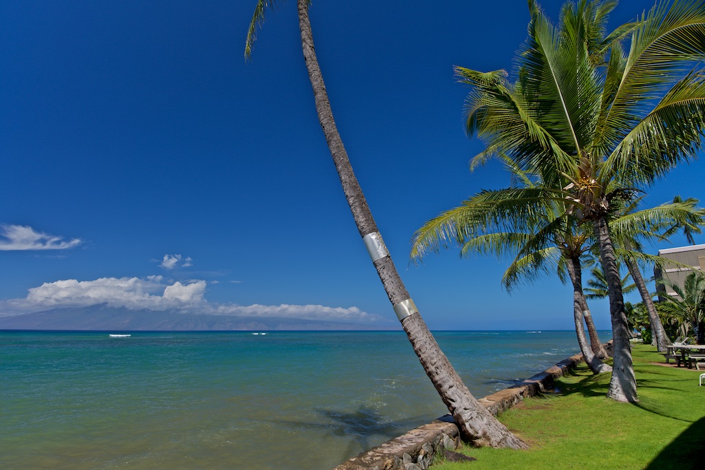 Resort photo #6