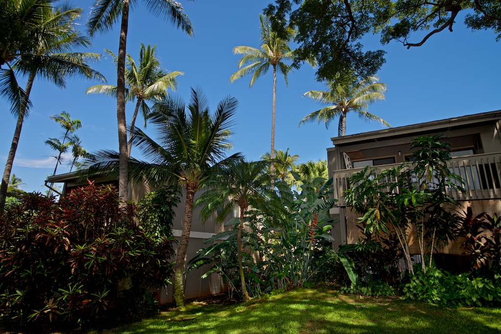 Resort photo #9