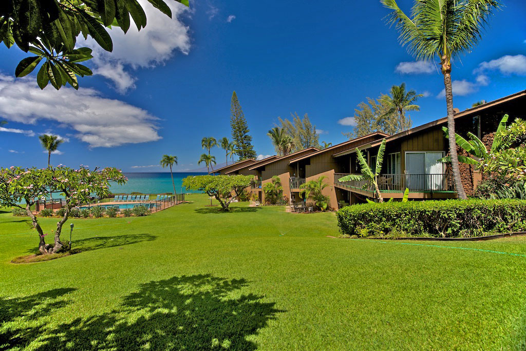 Polynesian Shores