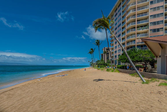 Royal Kahana