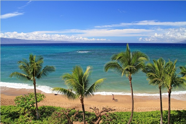 Resort photo #2