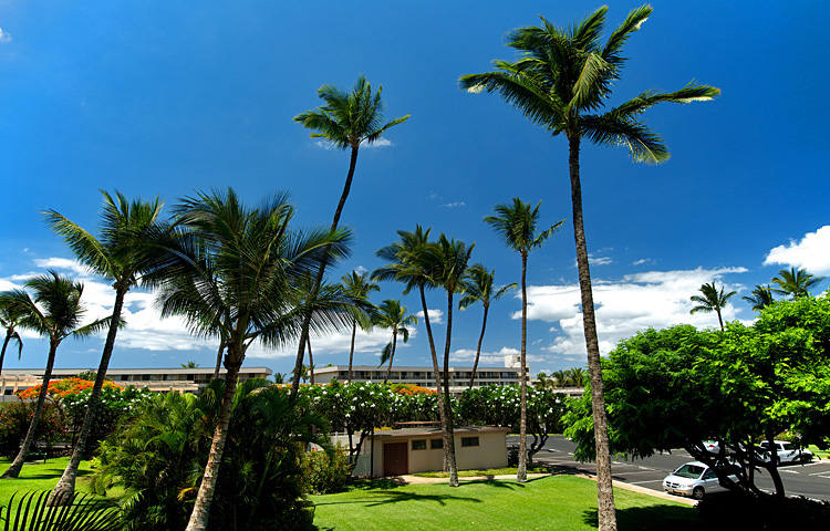 Resort photo #4
