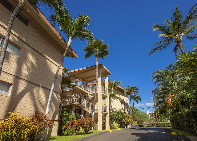 Resort photo #3