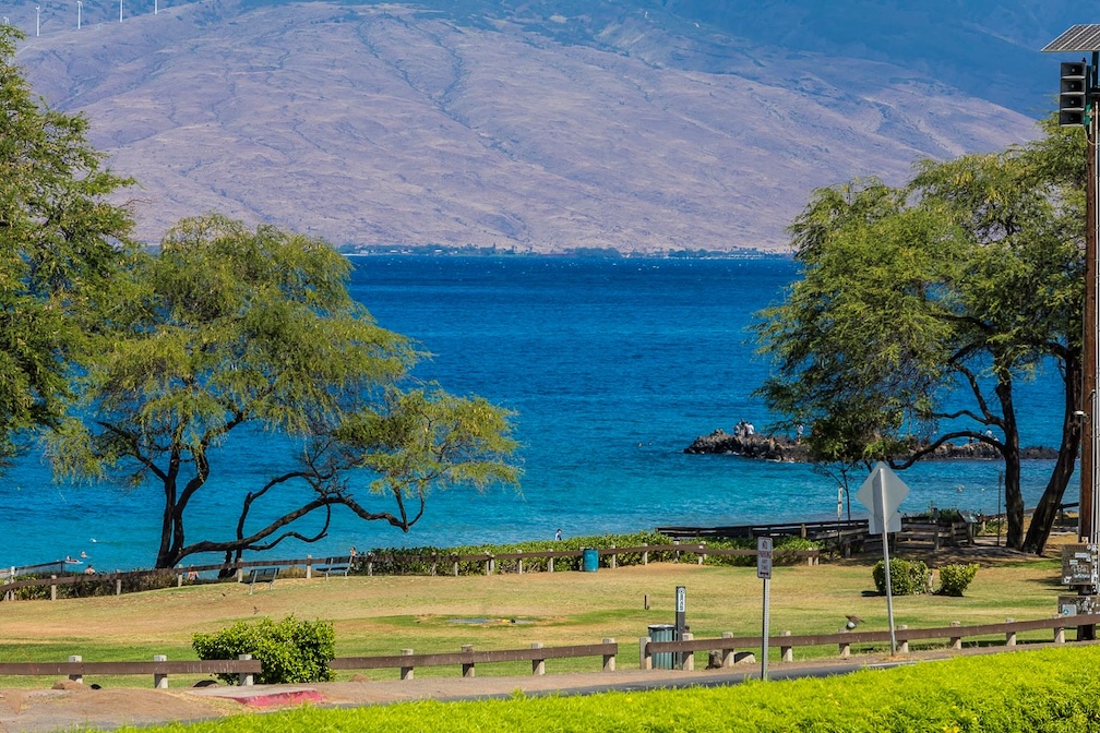 Resort photo #10
