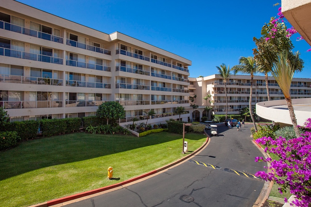 Resort photo #10