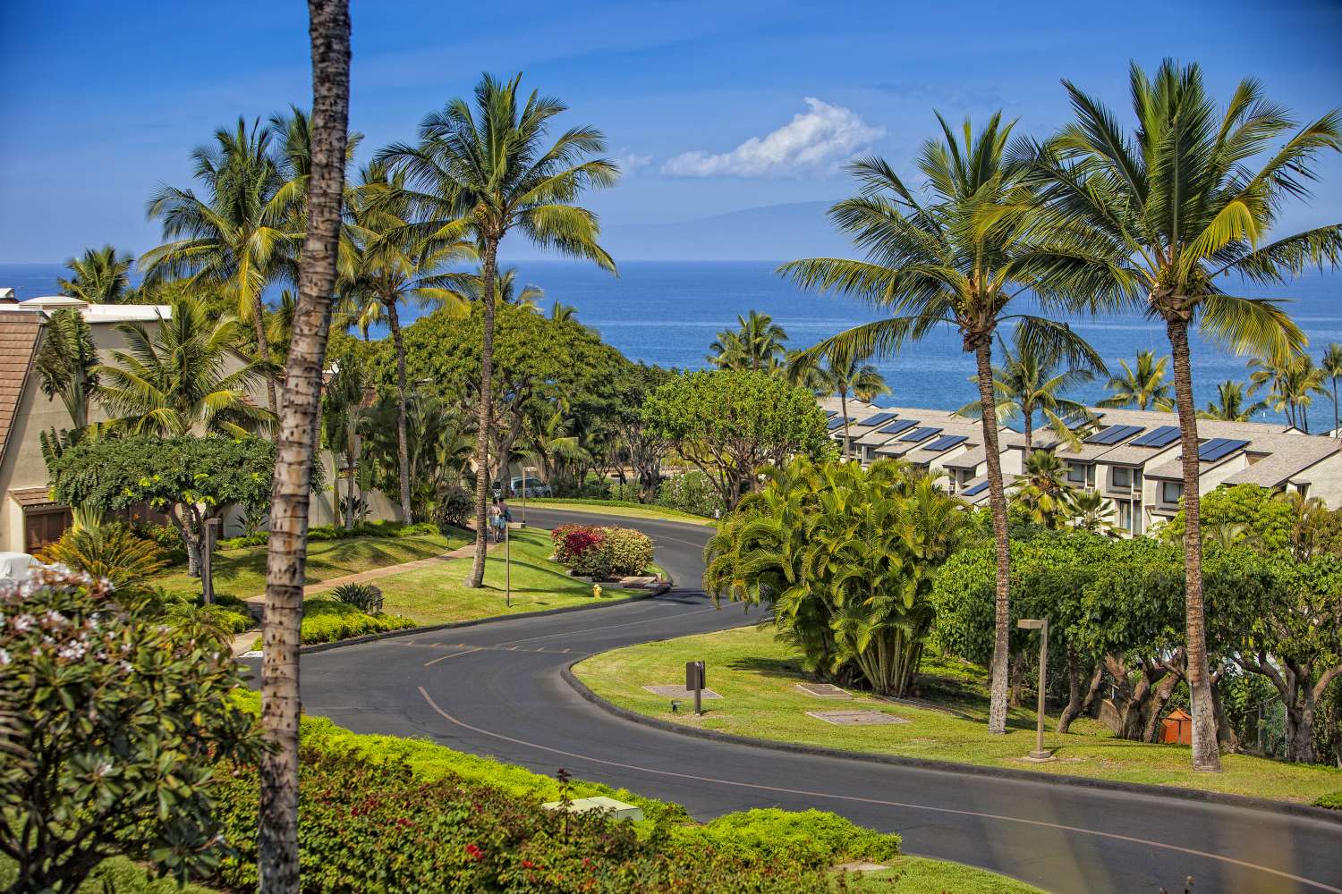 Maui Kamaole