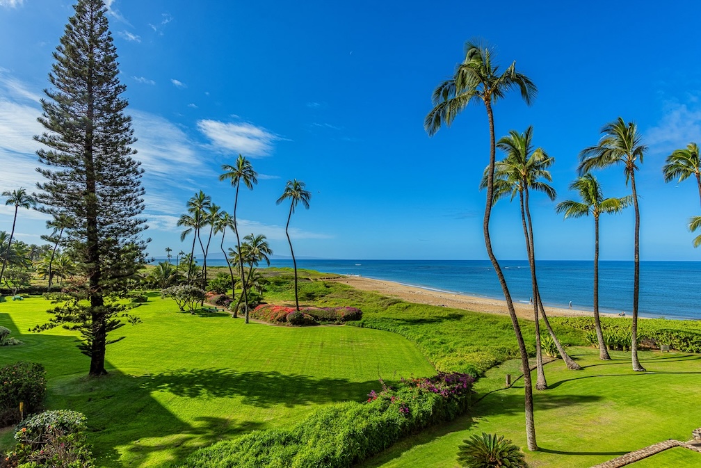Resort photo #10