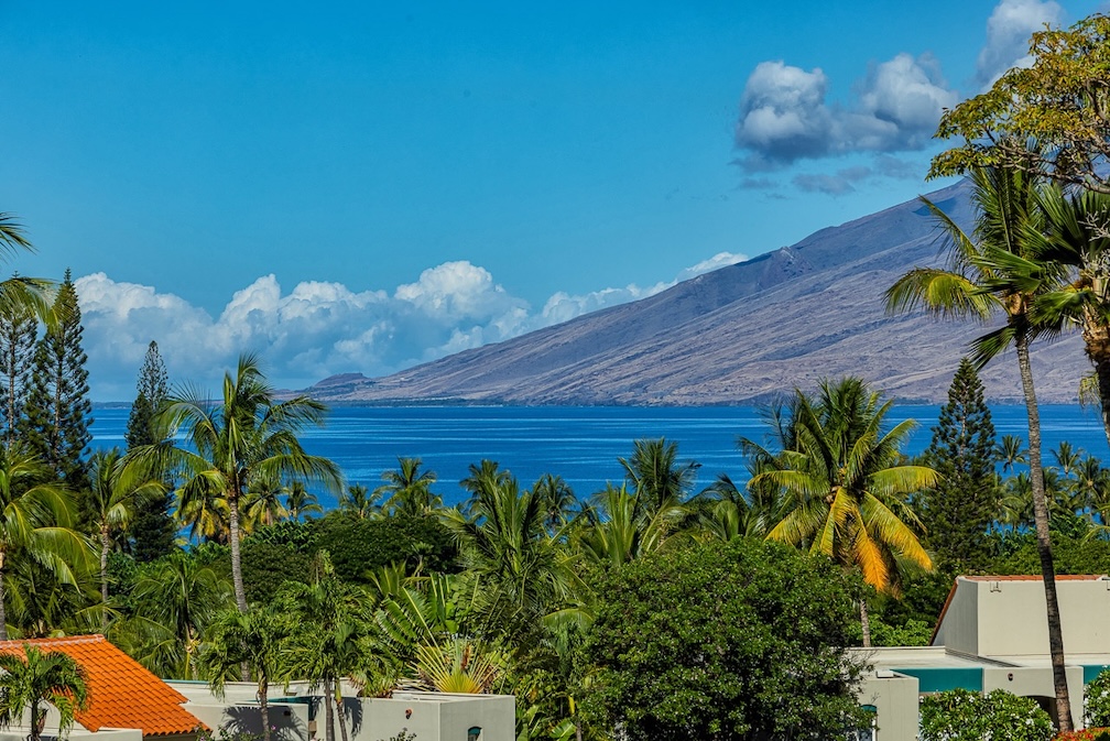 Resort photo #12