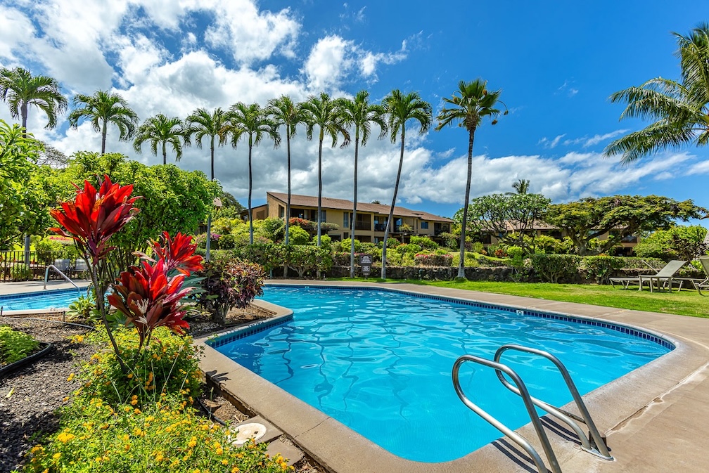 Resort photo #4