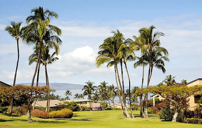 Wailea Ekahi