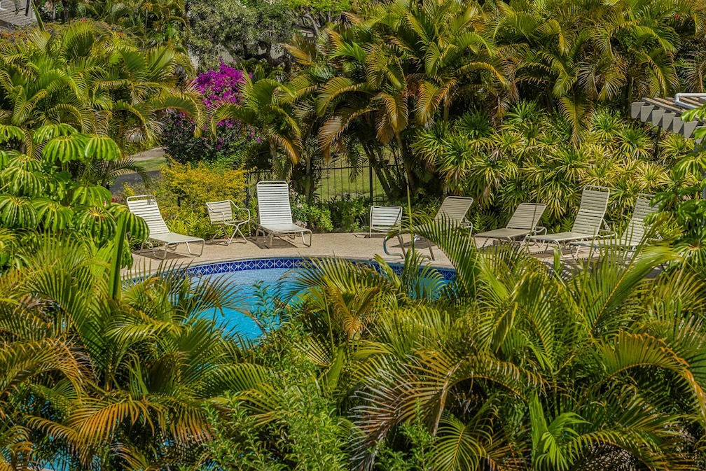 Resort photo #10